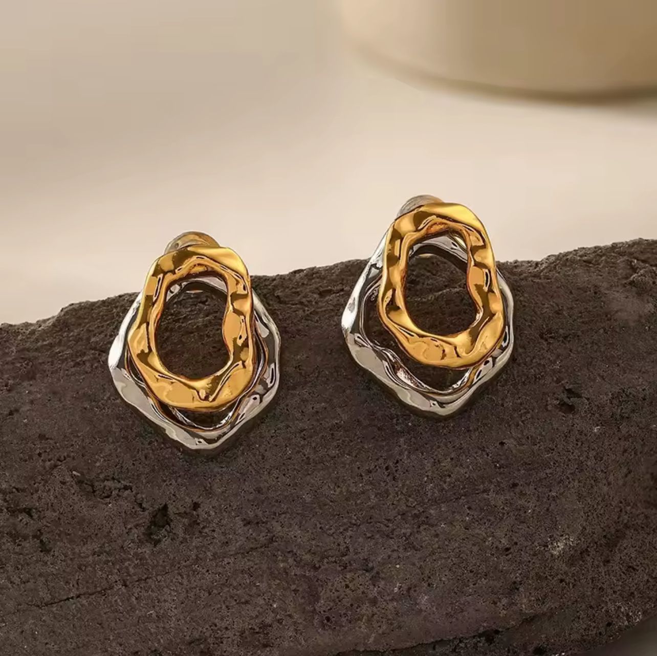 Two-Tone Stainless Steel Earrings