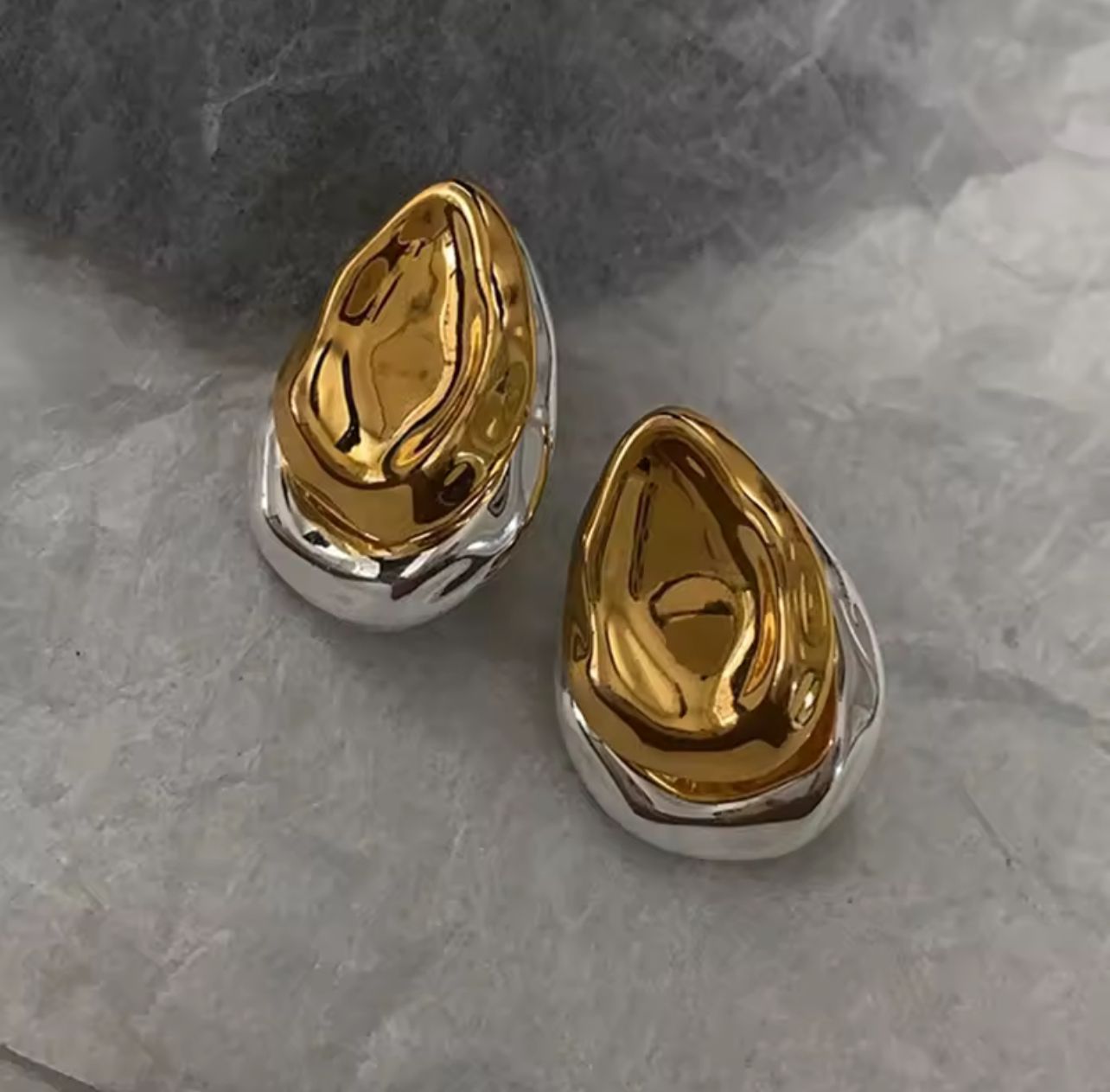 Two-Tone Stainless Steel Earrings